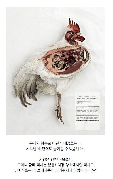 기발한 공익광고들.jpg