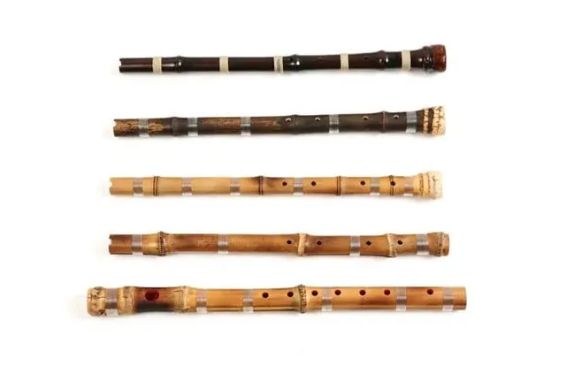 『선택받은 자』만이 소리를 낼 수 있는 악기...jpg