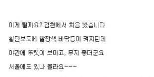 신기한 횡단보도