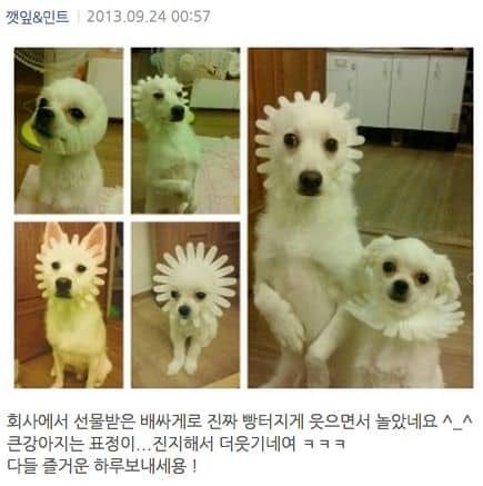 멍멍들의 추석놀이.jpg