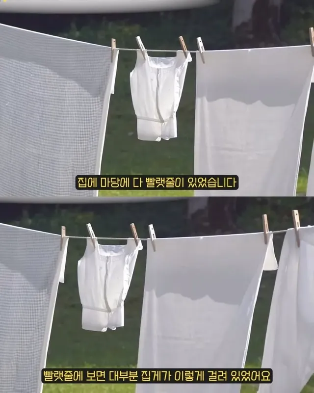 수건말릴 때 냄새 안나게 하는법