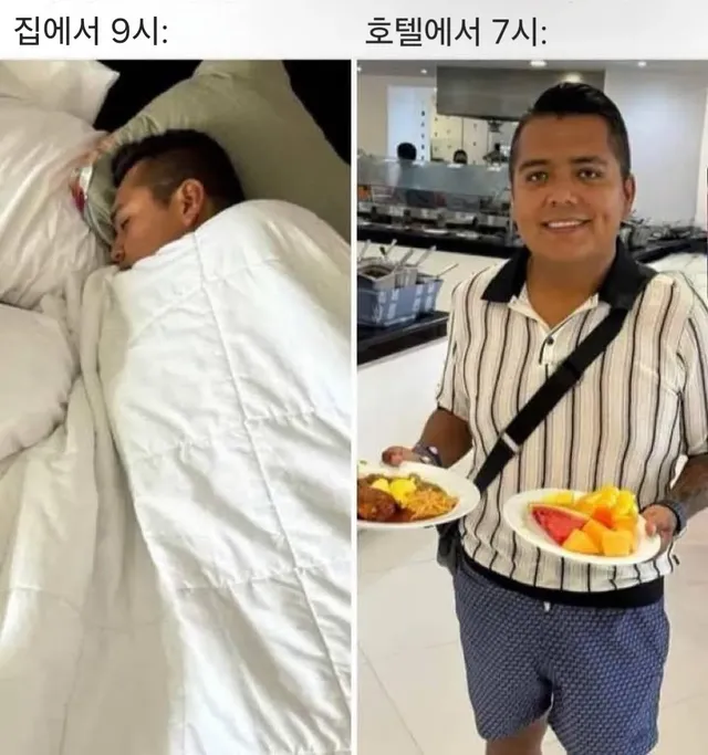 휴일 집 vs 호텔