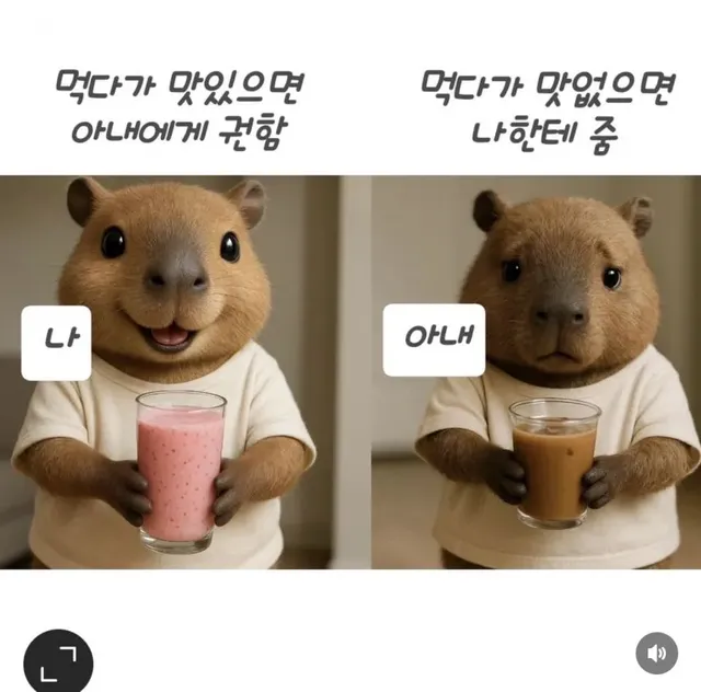 남편과 아내의 차이