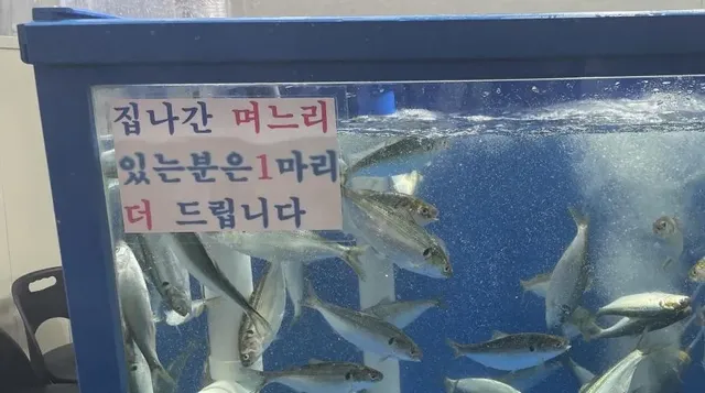집나간 며느리 있는 분은.jpg