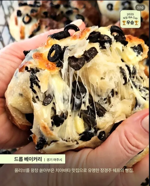 세계 제빵대회 우승한 우리나라 가게들