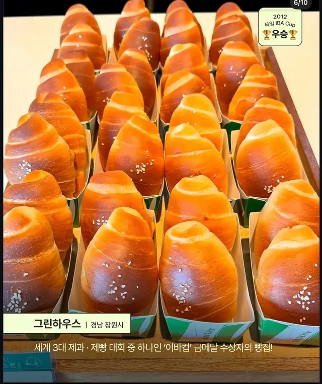 세계 제빵대회 우승한 우리나라 가게들
