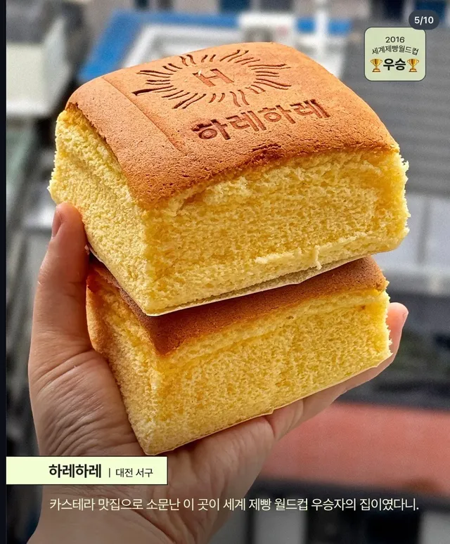 세계 제빵대회 우승한 우리나라 가게들