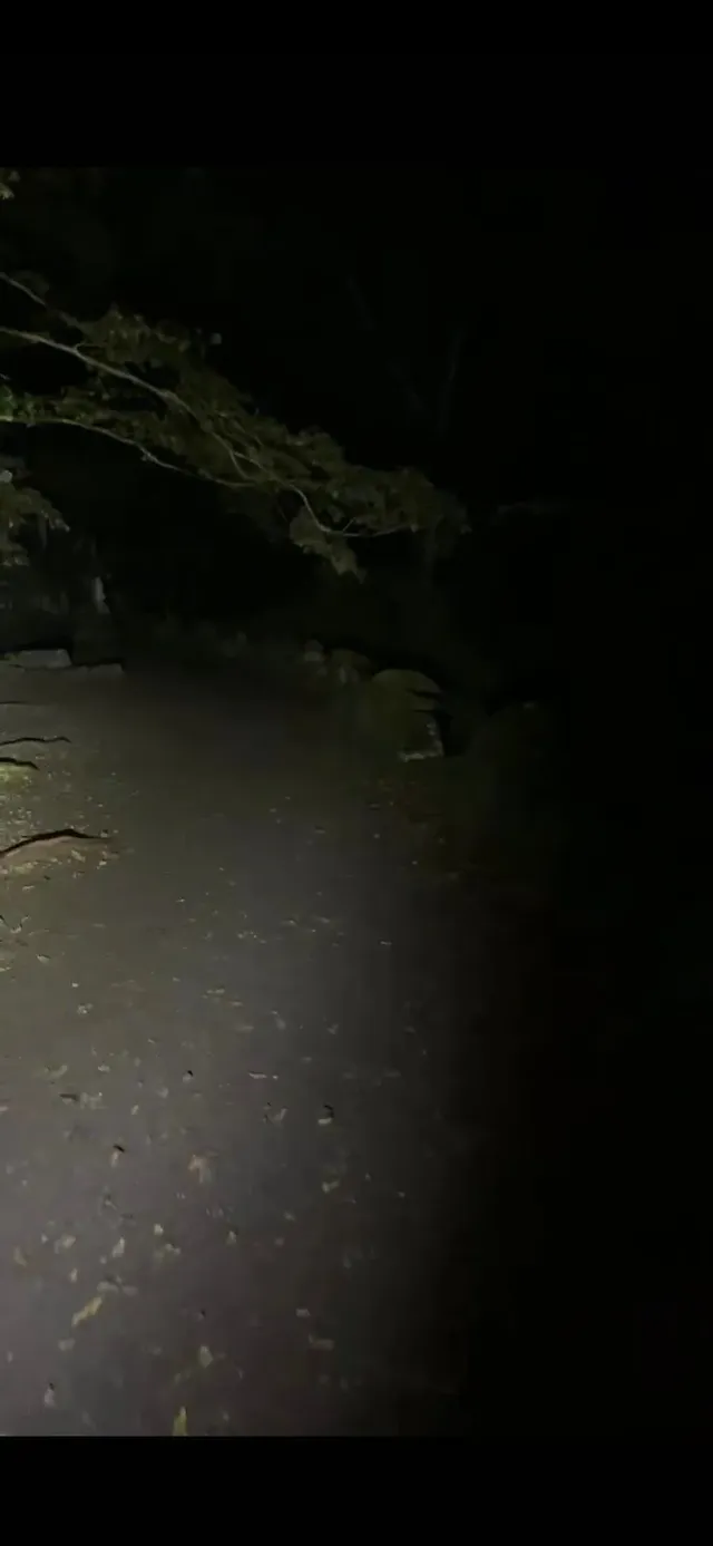 사람이 실종된다는 무서운 지장보살 터