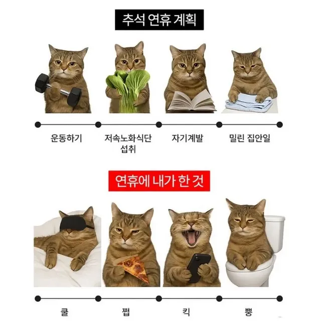 추석연휴 계획과 현실