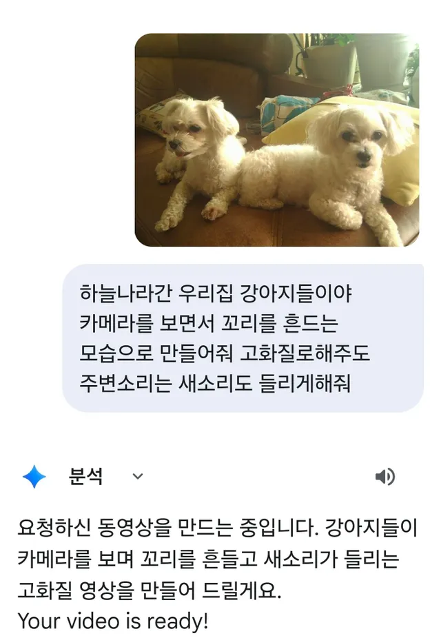 Ai) 제미나이야 하늘나라간 우리집 강아지들인데 움직이게해줘