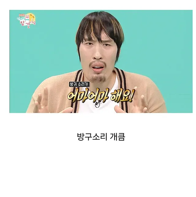 전참시를 뒤집어놓고 간 최홍만ㅋㅋㅋㅋㅋㅋㅋㅋㅋ