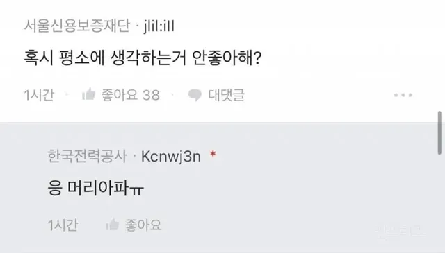 보충제 버리다가 변기 막힌 블라인