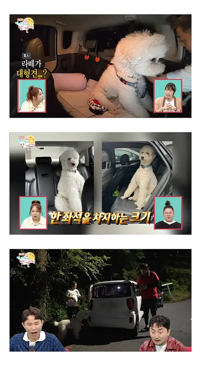 전참시를 뒤집어놓고 간 최홍만ㅋㅋㅋㅋㅋㅋㅋㅋㅋ