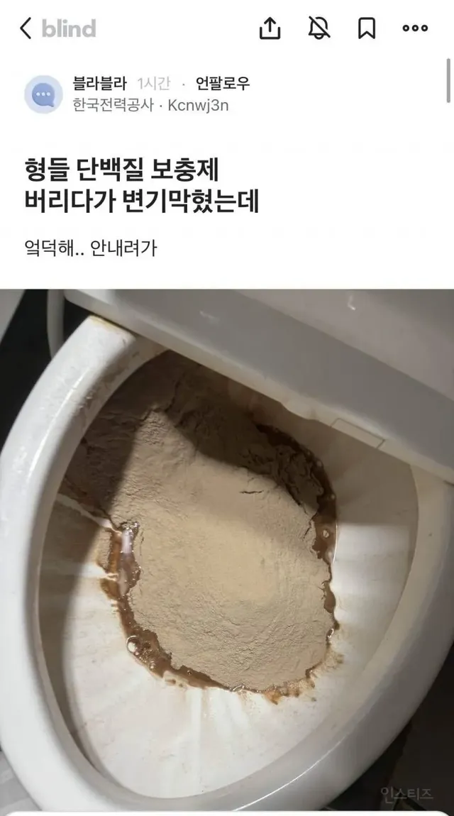보충제 버리다가 변기 막힌 블라인