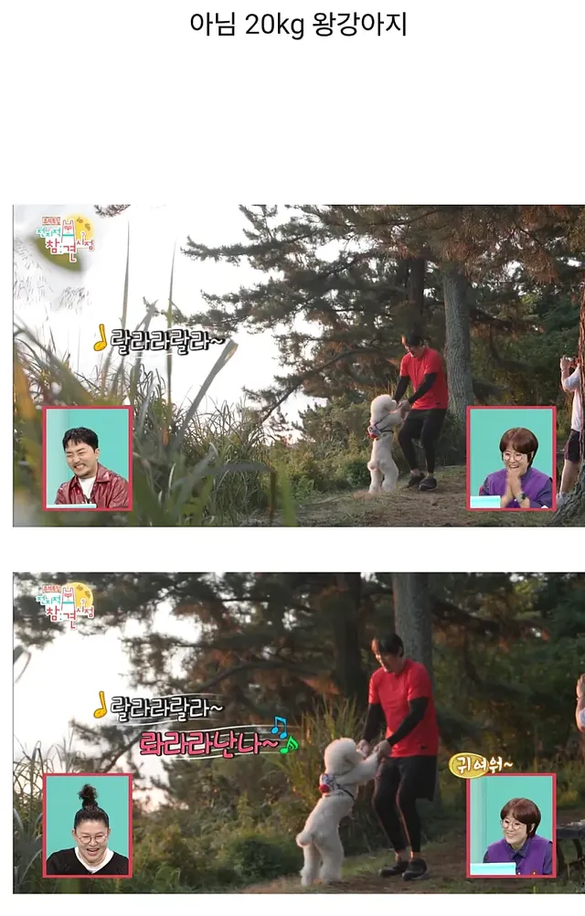 전참시를 뒤집어놓고 간 최홍만ㅋㅋㅋㅋㅋㅋㅋㅋㅋ