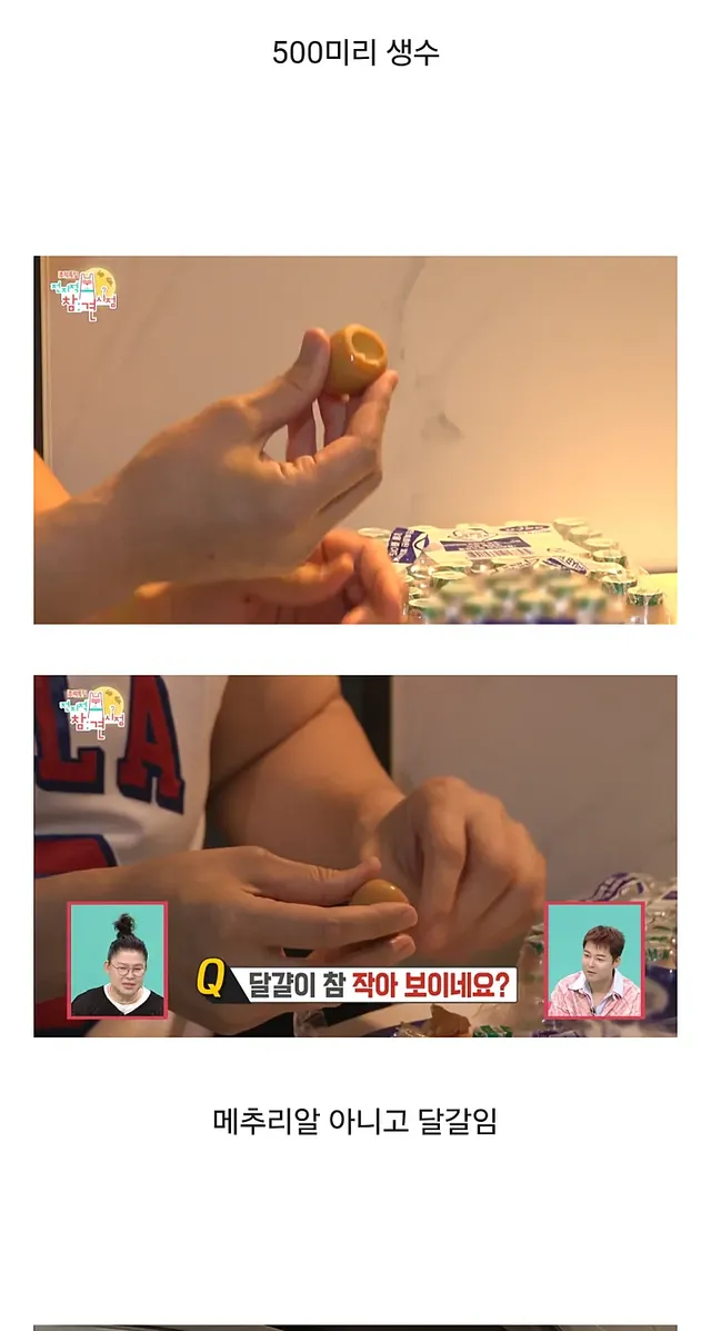 전참시를 뒤집어놓고 간 최홍만ㅋㅋㅋㅋㅋㅋㅋㅋㅋ