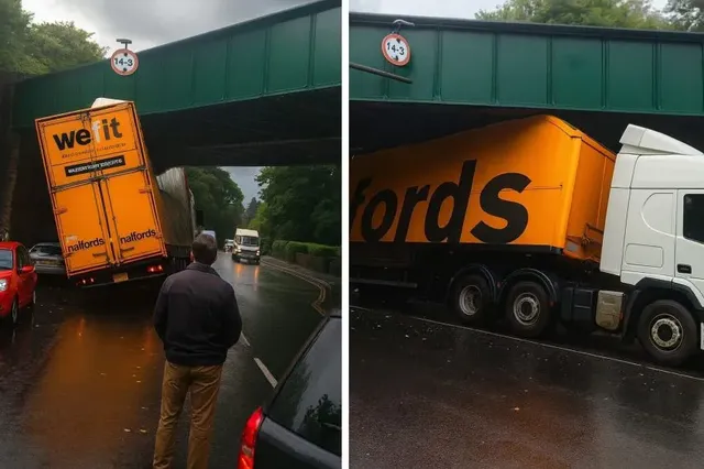 아이러니(모순된) 사진들.jpg