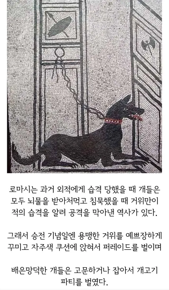 의외로 복날이 있었던 서양 국가