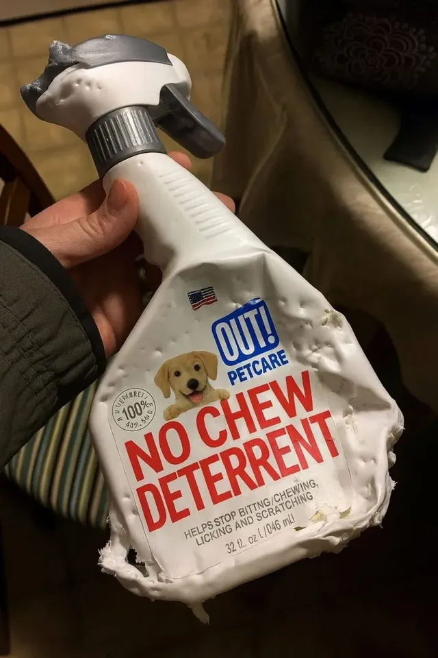 아이러니(모순된) 사진들.jpg