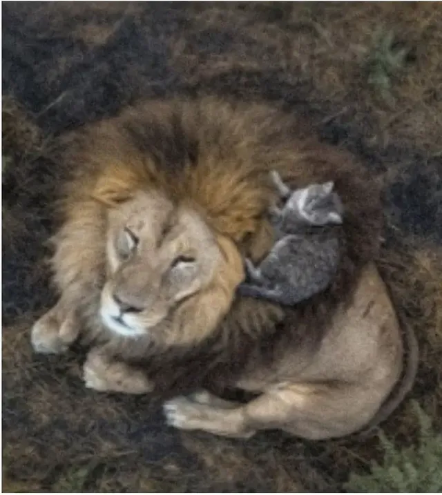 올해의 드론사진 어워드 위너 작품ㅋㅋㅋㅋㅋㅋㅋ