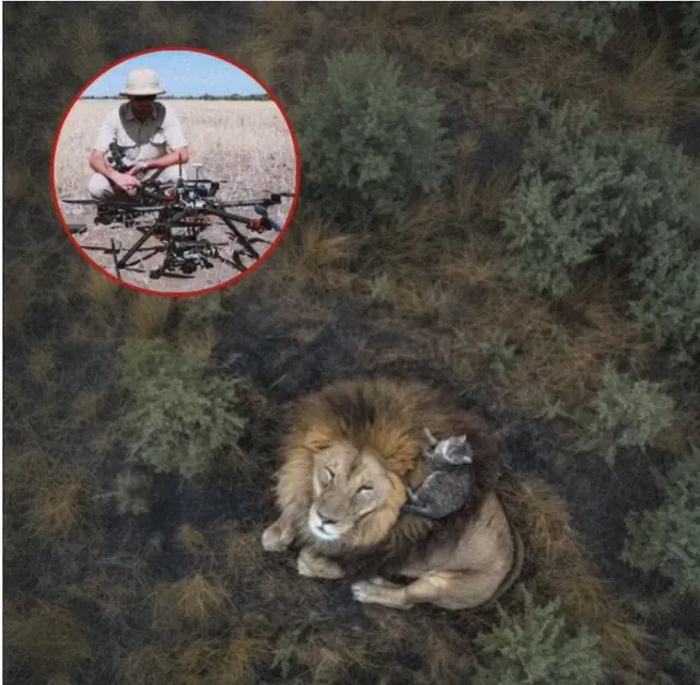 올해의 드론사진 어워드 위너 작품ㅋㅋㅋㅋㅋㅋㅋ