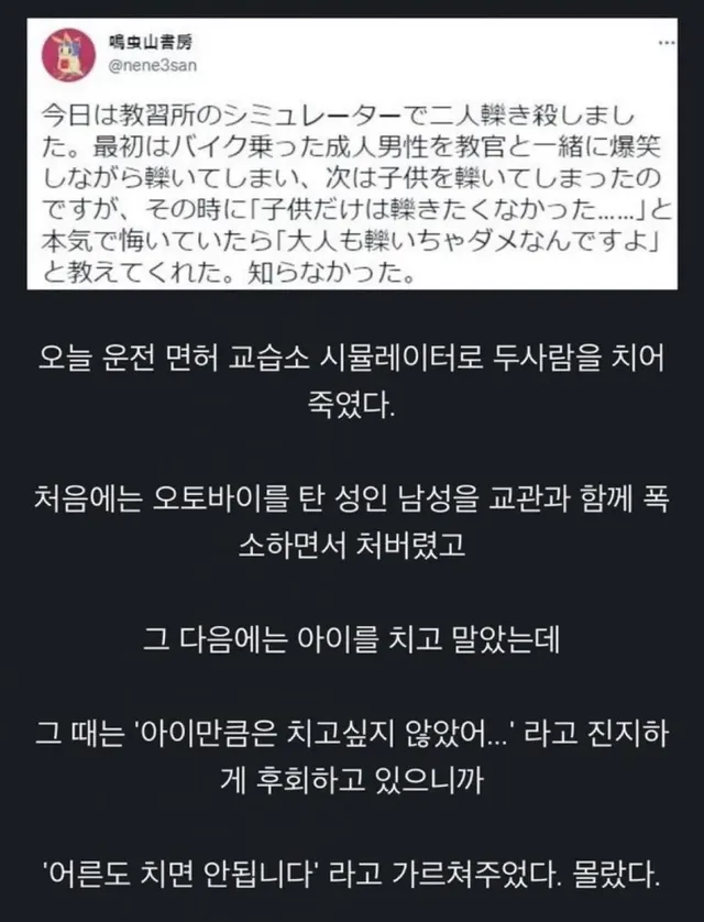 아이만큼은 치고싶지 않았다는 운전자