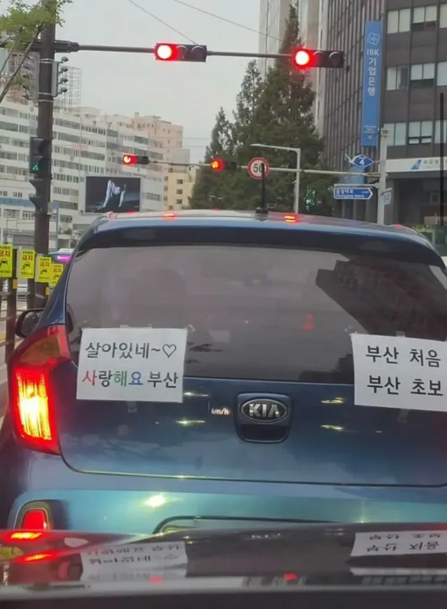 살면서 부산에 처음 간 어느 초보운전자.jpg