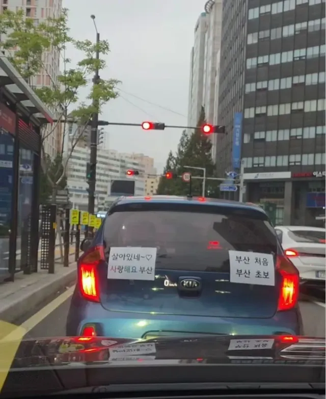 살면서 부산에 처음 간 어느 초보운전자.jpg