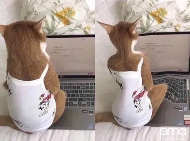 싱글벙글 보정어플이 사기인 이유..jpg