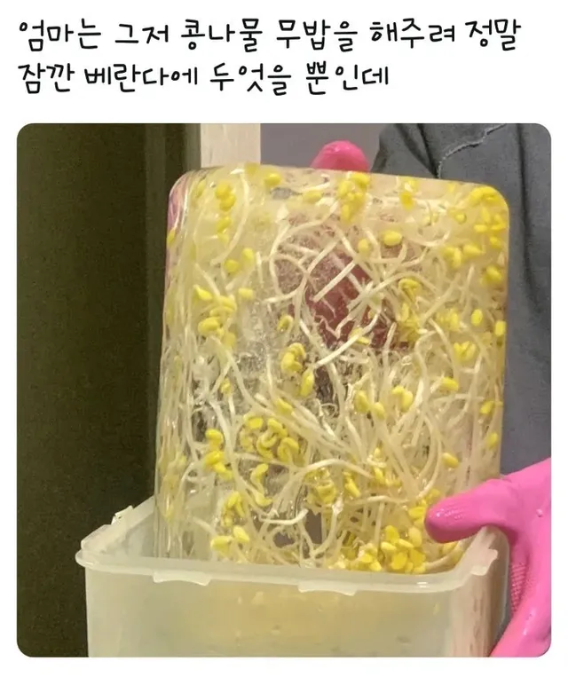 곧 마주할 날씨