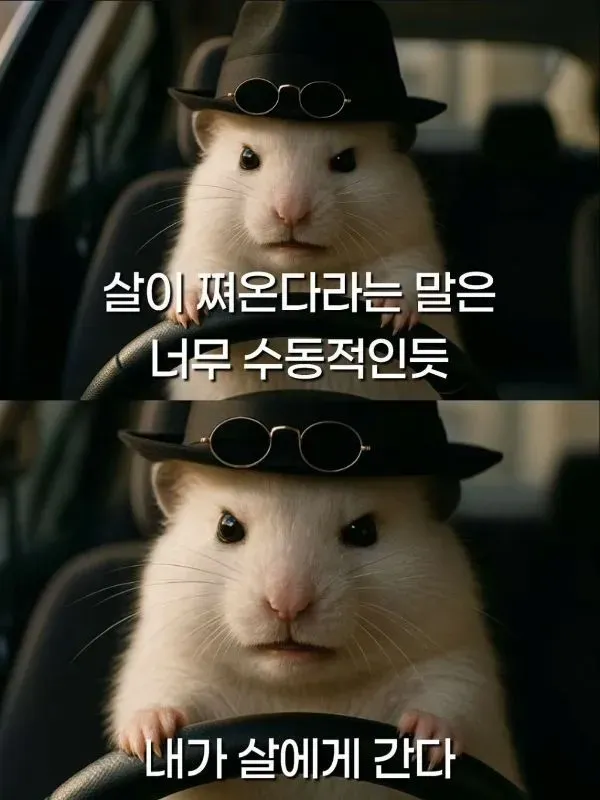 살이 쪄왔다고 생각한다면...