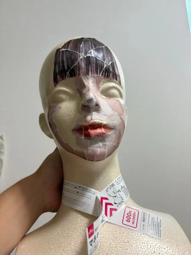 좋아하는 사람이나 좋아하는 연예인을 집에서 매일 만나는 방법을 만든 일본인 . Jpg