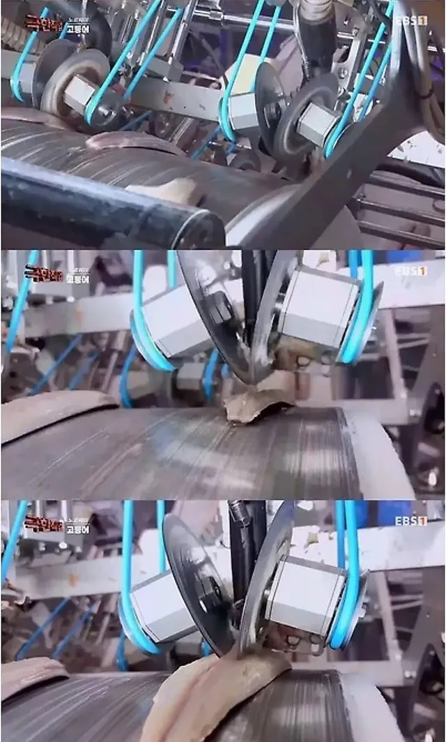 노르웨이 순살 고등어의 비밀