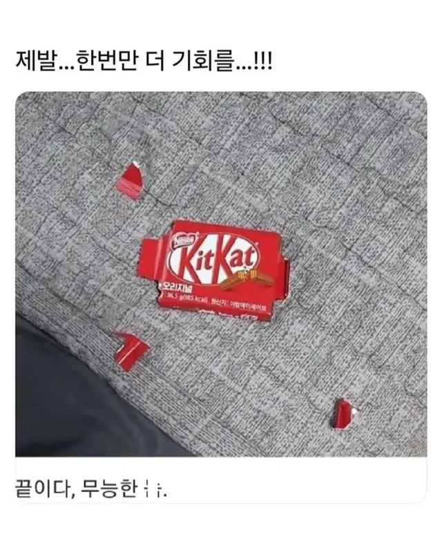 제발 한번 만 더 기회를..