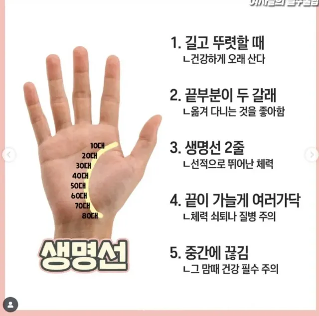 재미로 보는 손금 보는 방법