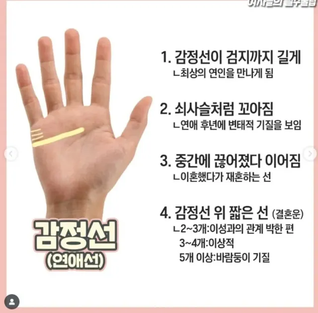 재미로 보는 손금 보는 방법