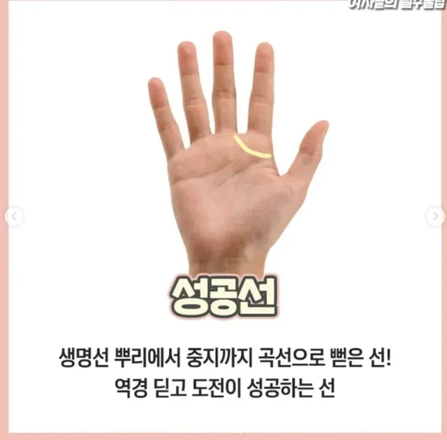 재미로 보는 손금 보는 방법