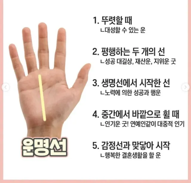 재미로 보는 손금 보는 방법