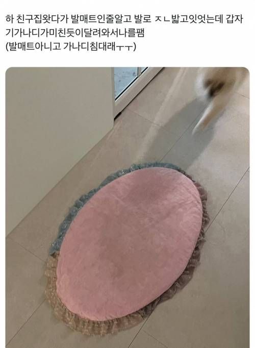 친구 집 왔다가 발매트인 줄 알고 발로 ㅈㄴ 밟고 있었는데