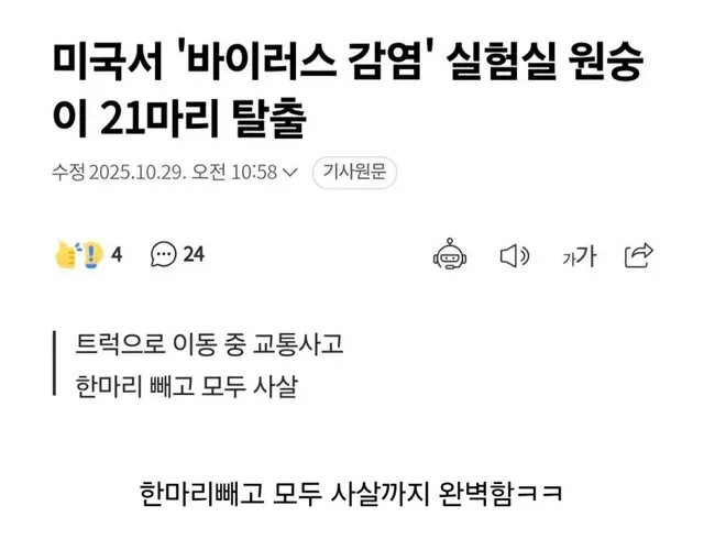 영화 도입부 같은 기사.jpg