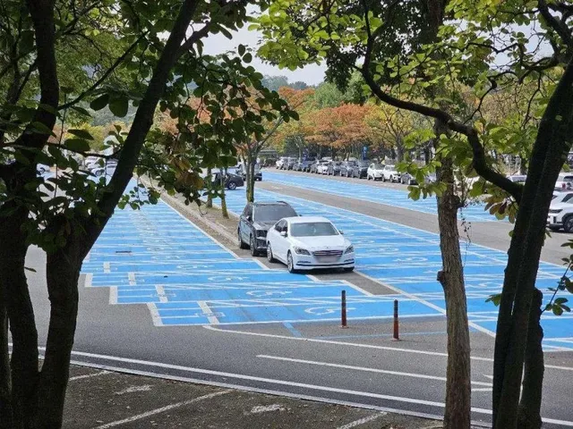 (펌) 서울대공원 주차장, 무개념 주차 모습