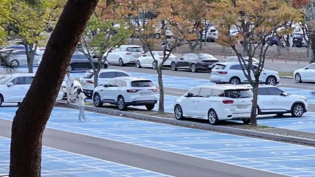 (펌) 서울대공원 주차장, 무개념 주차 모습