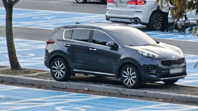 (펌) 서울대공원 주차장, 무개념 주차 모습