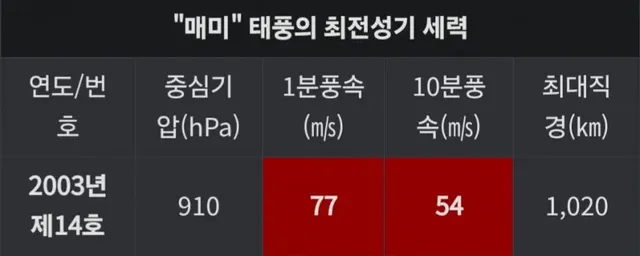 좀 쎈 태풍 영상