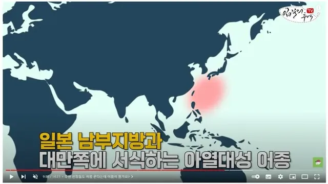 수온이 올라가서 이상한 물고기가 잡혔어요;.jpg