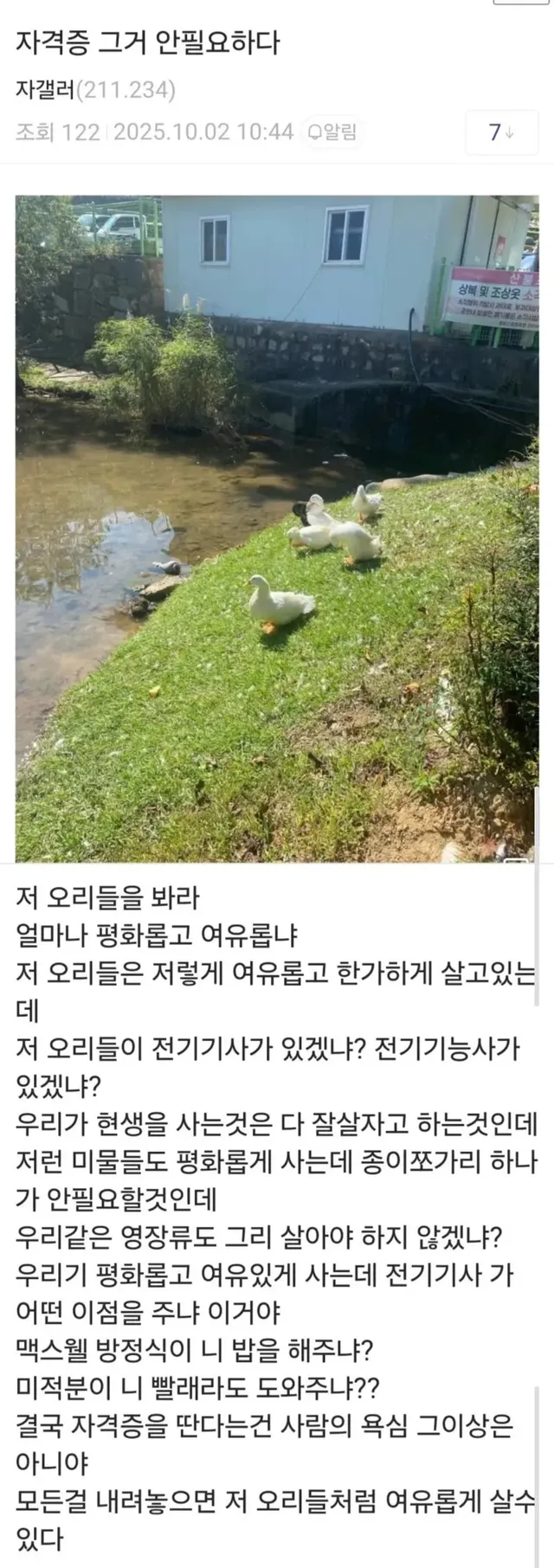 시험 떨어져서 현타온 디씨인