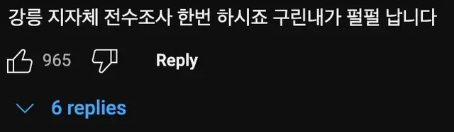 강릉시 주차라인에 파란색🟦 페인트 선이 그어진 이유