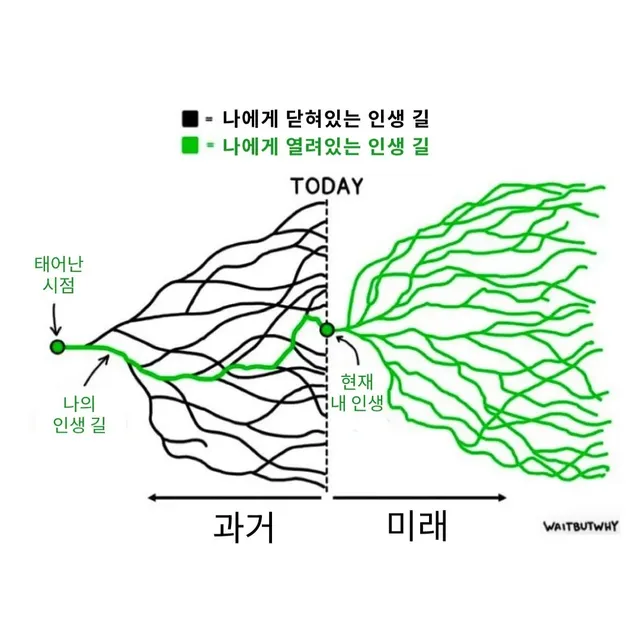 내 인생이 망했다고 생각이 들때 보면 좋은것