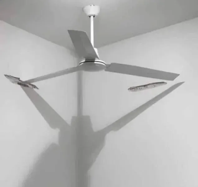 기왕 설치된 거는 이용해봅시다...