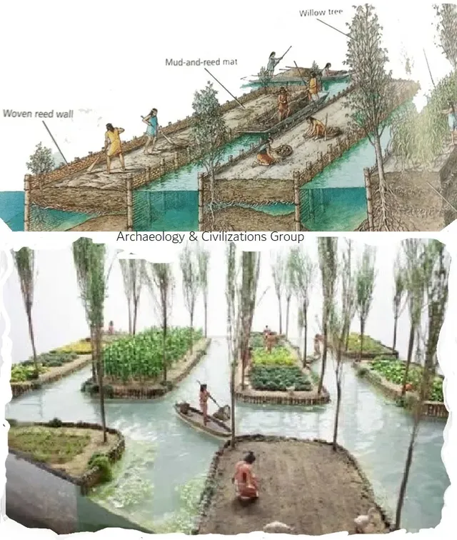 옥수수의 지력소비를 감당하는 농법.jpg